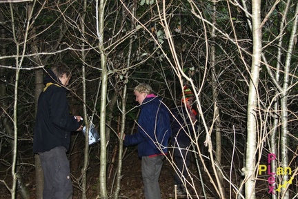 21889367664 abaf69ca00 o